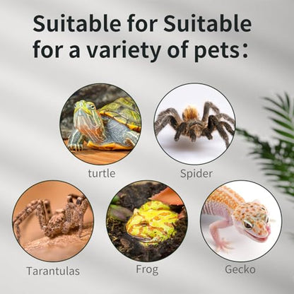 Mini Reptile Glass Tank 8 * 8 * 6inch Terrarium for Start with Top Ventilation for Turtle,Spider,Hermit Crab,Geock,Frog AMD Beard Dragon