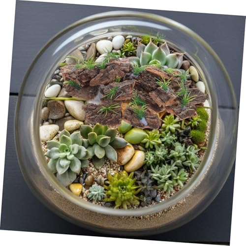 LIOOBO 20pcs Natural Cork Bark Terrarium Background for Reptiles Real Tree Bark Platform for Climbing and Hiding Aquarium Decor for Lizards Snakes Turtles Easy Maintenance Small Terrarium