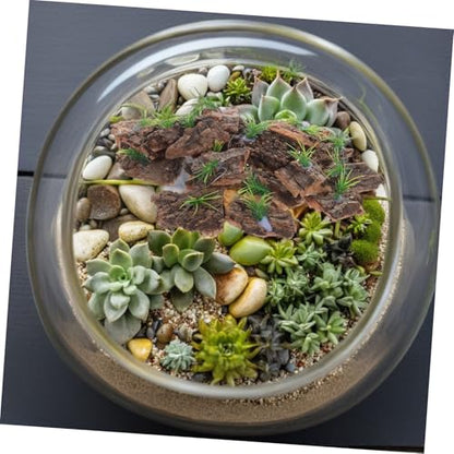 LIOOBO 20pcs Natural Cork Bark Terrarium Background for Reptiles Real Tree Bark Platform for Climbing and Hiding Aquarium Decor for Lizards Snakes Turtles Easy Maintenance Small Terrarium