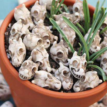 20PCS Miniature Dragon Skull Ornaments for Aquarium Decorations, Tiny Dinosaur Bones for Succulent Plant Pots, Gothic Fairy Garden Terrarium Kit