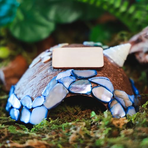 Reptile Hideouts, Handmade Handmade Reptile Home, Hide Cave for Crested Gecko, Leopard Gecko, Lizard, Snake, Crabs Hide Cave, Personalized Terrarium & Vivarium Décor(Conch) - style: Conch