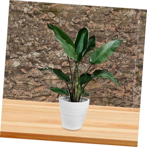 BESPORTBLE Cork Terrarium Background for Reptile Tanks Natural Bark Backdrop Decor Climbing Mat Safe Reusable Aesthetic Habitat for Chameleons Lizards and Other Reptiles