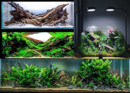 Azil Natural Driftwood 9''-12'' (2 Pieces) – Perfect Aquarium Decoration for Fish Tanks, Freshwater Aquariums, Terrariums, Aquascaping, Hardscaping, Aquatic Plants - size: driftwood 9'' - 12''