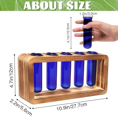 Glass Plant Propagation Station with 5 Test Tubes Colorful Planter Vase Birthday Gifts for Women in Wooden Stand - color: Blue