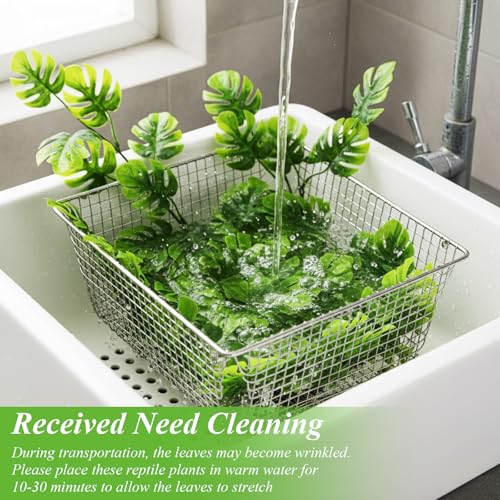Suncalla Reptile Plants Terrarium Hanging Plants Vines Boston Climbing Terrarium Plant with Suction Cup for Bearded Dragons Lizards Crested Gecko Snake Crab Tank(Popular Series,Green) - style: Popular Series