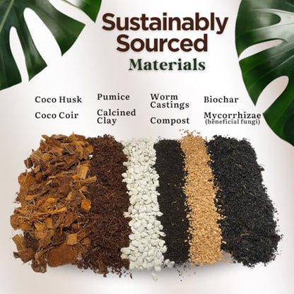 Premium Indoor Plant Potting Mix (4qt) – Peat-Free, Well-Draining Soilless Blend for Aroids & Tropical Houseplants with Coco Coir, Biochar & Pumice