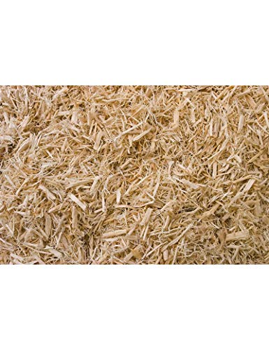 T-Rex Reptile Terrarium Substrate Bedding - Aspen Bed 5qt Bag (8qt) - size: 8qt