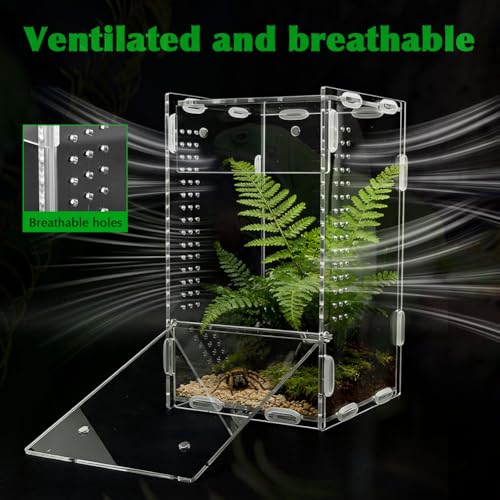 Acrylic Jumping Spider Habitat, Pre-Assembled Acrylic Terrarium, Bug Enclosure, Praying Mantis Habitat,with Magnetic Door & All-Side Ventilation 4"×4"×7" (Tweezer & Temp Sticker Included)