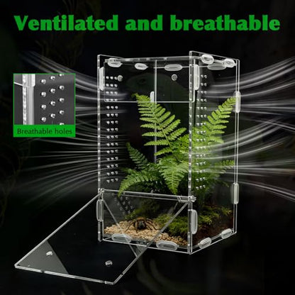 Acrylic Jumping Spider Habitat, Pre-Assembled Acrylic Terrarium, Bug Enclosure, Praying Mantis Habitat,with Magnetic Door & All-Side Ventilation 4"×4"×7" (Tweezer & Temp Sticker Included)