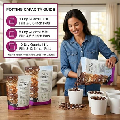 Molly's Orchid Potting Mix - Premium Gritty Soilless Orchid Mix - Chunky High Drainage vs Standard Potting Soil for Indoor Plants - Contains Bark, Coco Chips, Akadama, Pumice, Lava Rock 3 Dry Quarts - size: 3 Dry Quarts, style: Orchids