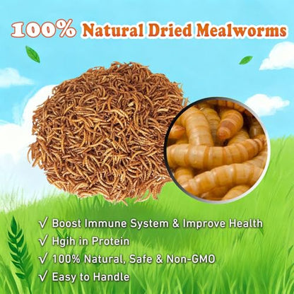 Amzey Dried Mealworms- 3.5 oz(2 Pack)- High Protein Non GMO Mealworms - Great for Turtle Food, Bird Food, Cockatiel Food, Lizard Food, Snake Food, Iguana Food, Sulcata Tortoise Diet- 3.5oz (2 Pack) - size: 7 Ounce (Pack of 1)