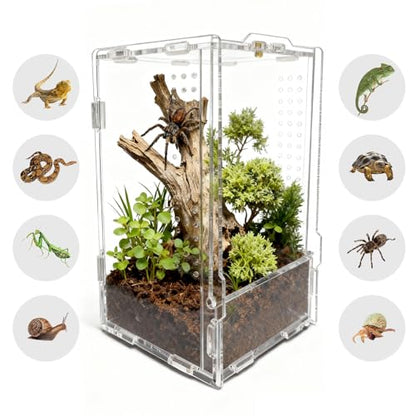 The Ultimate Small Animal Terrarium 4.72" x 4.33" x 7.8": A Versatile Reptile & Critter Tank for Lizards, Spiders, Snakes, Frogs, Hermit Crabs & More