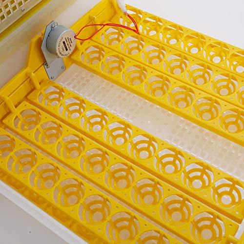 Egg Incubator 56 Eggs Fully Automatic Digital Incubators for Hatching Eggs Poultry Hatcher Machine with Temperature Humidity Control and Auto Turning for Hatching Chicken Duck Goose Quail Birds