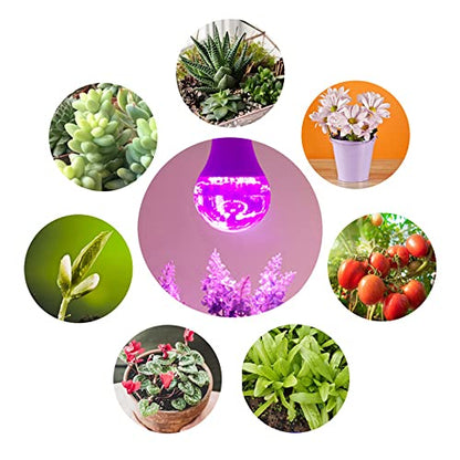 Grow Light Bulbs for Indoor Plants - Full Spectrum E26 A19 LED Lamp Bulb 12W - Balanced Spectrum 5000K with Red & Blue Light for Seeds, Greens, Hydroponics - 2 Pack