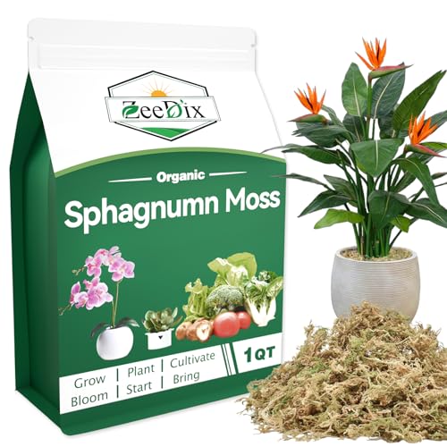 ZeeDix Natural Sphagnum Moss for Plants, Orchid Moss Potting Mix for Repotting, High Water Retention, Help with Maintain Humidity, Plant Moss for Gardening, Hanging Baskets, Reptile Bedding, 1QT - color: Sphagnum Moss, size: 1 qt