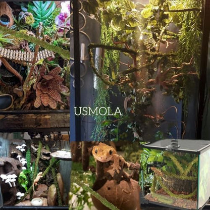 USMOLA Moss Vine for Reptiles, Bendable Climbing Vines Reptile Tank Accessories, Natural Moss Rope for Leopard Gecko, Lizard, Snake, Chameleon, Frog Terrarium Decor (Jungle Green, 9.8 FT) - size: 9.8 FT