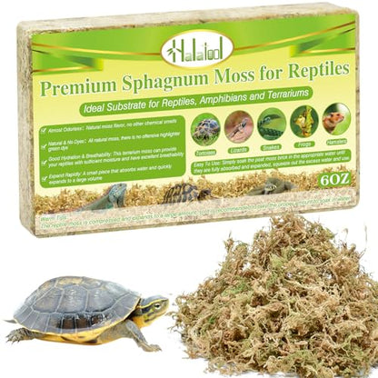 Halatool 6OZ Natural Sphagnum Moss Substrate for Reptiles - Terrarium Bedding with 72H Moisture Retention, Safe for Bearded Dragons, Geckos & Snake Shedding - size: 6 OZ