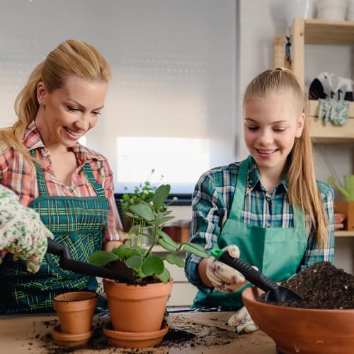Doter Potting Soil Mix for Hoya 1qt, Custom Hand Blended Mixture Suitable for Indoor/Outdoor Potted Fern Plant - size: 1qt