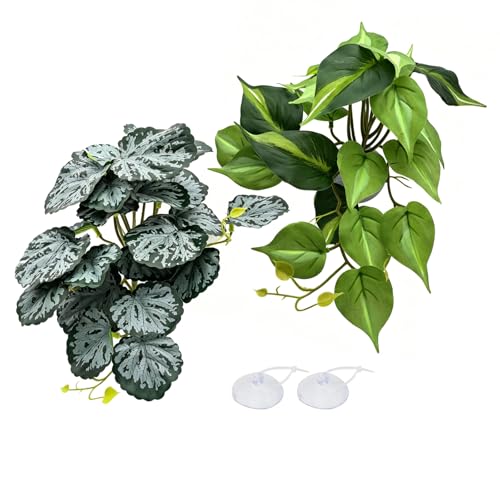 Reptile Plants Terrarium Decor, Artificial Fake Plants for Bearded Dragon, Leopard Gecko, Snake, Crested, Ball Python Tank (Light Green Pothos & Begonia Leaf (with Suction Cups)) - color: Light Green Pothos & Begonia Leaf (With Suction Cups)