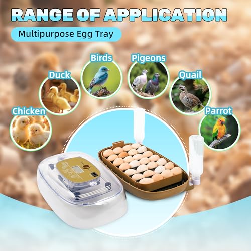 24 Eggs Incubator with Auto Water Refill & Humidity Control, Automatic Egg Turner, Built-in LED Candler, Species Pre-Programs for Chicken Duck Quail Turkey — Beginner Friendly