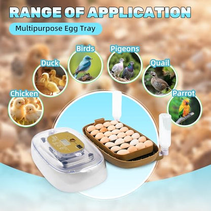 24 Eggs Incubator with Auto Water Refill & Humidity Control, Automatic Egg Turner, Built-in LED Candler, Species Pre-Programs for Chicken Duck Quail Turkey — Beginner Friendly