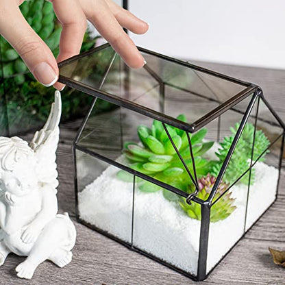Ferrisland Glass Plant Terrarium Container Wardian Case Indoor Small Succulent Terrarium Planter w/Door for Tabletop Decor DIY - 4.9"x4.3"x4.3" - size: 4.3"L x 4.3"W x 4.9"H
