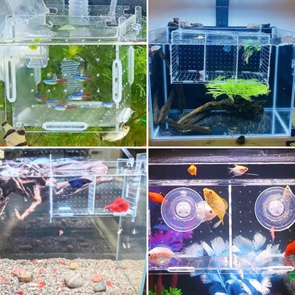 PINVNBY Acrylic Fish Breeding Box，Guppy breeding Box Acrylic Fish Isolation Box Aquarium Incubator with Suction Cups for Guppy Shrimp Small Baby Fishes（3.9 x 3.9 x11.8 in） - size: L(3.9 * 3.9 * 11.8in)