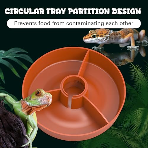 2 in 1 Reptile Food Feeders Bowl Water Bottle, Automatic Water Dispenser Reptile Feeder Kit for Amphibian Lizard Bearded Dragon Snake Feeding (Orange) - color: Orange