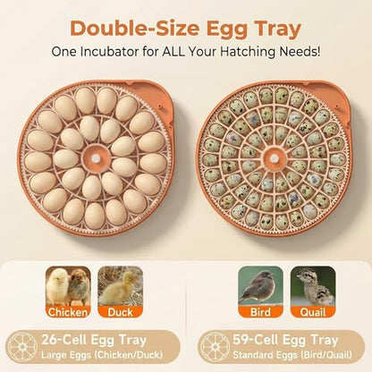 26-59 Egg Incubator with Automatic Egg Turning, Voice-Controlled Machine,Temperature & Humidity Control, Built-in Egg Candler, 360° View Clear Lid for Hatching Chicken Duck Quail Goose Eggs - color: Orange