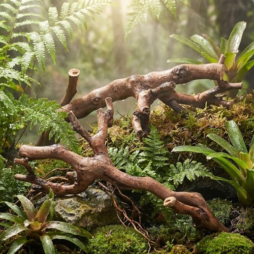 Toddmomy 2pcs Terrarium Wood Branches - Natural Climbing Platform for Reptile Habitat - Snake Tank Decorations Branch for Bearded Dragon, Gecko