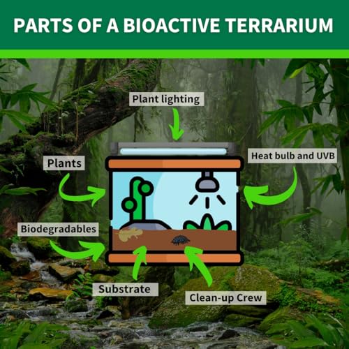 The Bio Dude Terra Fauna Bioactive Reptile Substrate 18 Quart for Reptile habitats, terrariums and vivariums. Great for Crested Geckos, Gargoyle Geckos, Day Geckos, Frogs and Indoor Gardening
