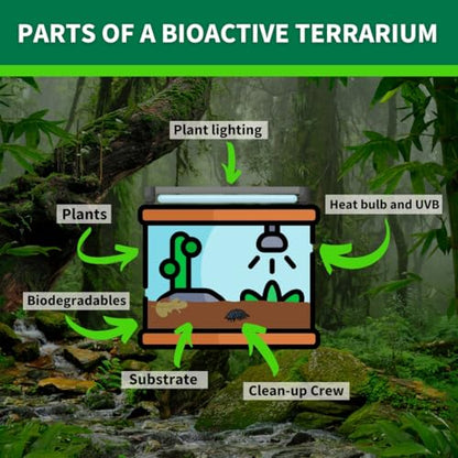 The Bio Dude HydroGrow V2 6 quarts Drainage Layer for Tropical bioactive terrariums