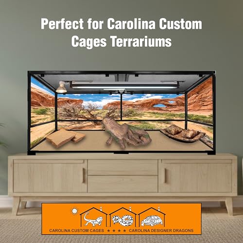 T5HO Single 34" UVB Reptile Light Fixture 39W, Bearded Dragon and Reptile Terrarium Light Fixture