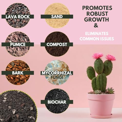 The Soil Sage 2.5 Dry Qt Cactus & Succulent Potting Soil Mix, USA Made - Gritty, Fast Draining, Soilless, Root Boosting, Peat-Free - Growth of Cactus, Succulents, Jade, Aloe Vera - size: 2.5 Qt