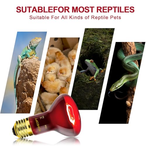 75W Reptile Heat Lamp Bulb, Infrared Heat Emitter Red Heat Lamp for Reptile Amphibian, Infrared Basking Spot Light Bulb,Red Heat Lamp for Chickens、Lizards、Snakes、Turtles 2-Pack