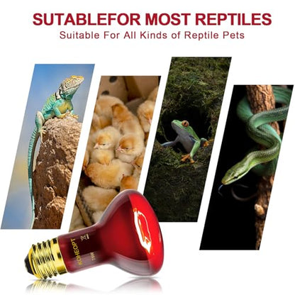 75W Reptile Heat Lamp Bulb, Infrared Heat Emitter Red Heat Lamp for Reptile Amphibian, Infrared Basking Spot Light Bulb,Red Heat Lamp for Chickens、Lizards、Snakes、Turtles 2-Pack
