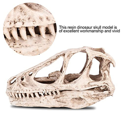HERCHR 3D Dinosaur Skull Decor, Reptile Resin Dinosaur Skull Decoration Aquarium Decoration Model Dinosaur Animal Skull Reptile Ornament for Craft Teaching Prop Home Office Decor
