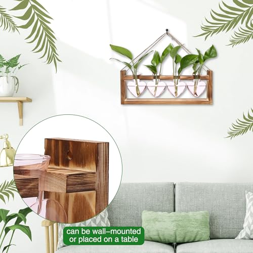 Heart Plant Terrarium Kit Gift for Women Plant Lover Glass Vases - color: Pink