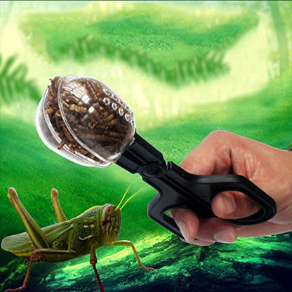 Reptiles Feeding Scooper Poop Catching Clamp Spoon-Shaped Tips Feeder Tweezers for Reptiles Supplies Pet Supplies Pet Amphibians Health