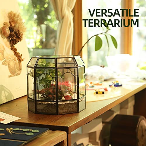 REDHUGO Large Glass Terrarium Handmade, Centerpiece Display Box Gift Planter Containers Indoor Terrariums House for Succulent Cacti Air Plants Miniature Fairy Garden - color: Black