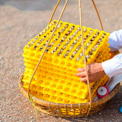Teenyyou 10 Pcs 90 Egg Plastic Trays Quail Egg Flats Holder for Quail Pigeon Dove Bird Flat Carton (Yellow) - color: Yellow