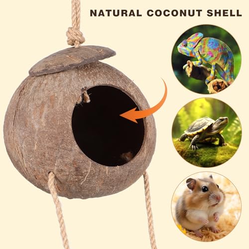 Homoyoyo Crested Gecko Coconut Hide with Ladder, Natural Reptile Hideout and Lizard Shelter Hanging Reptile Hideout Coconut Shell Hut for Lizard Tank Accessories, Terrarium Cave for Leopard Gecko