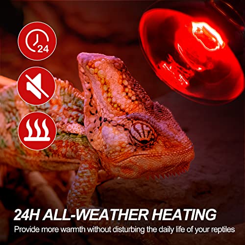 WACOOL 2Pack 75W Reptile Heat Lamp Day & Night Kit, Nature Simulated Basking Daylight & Nightlight Heat Lamp Bulbs for Reptiles & Amphibians, UVA Heat Lamp for Bearded Dragon Gecko Turtle Lizard - style: 75W-2 PACK