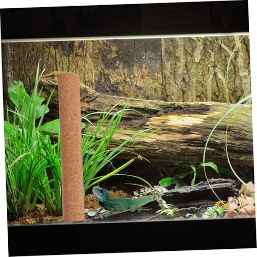BESPORTBLE Reptile Cork Wood Climbing Branch for Habitats Sturdy Resting Stick for Lizard and Bird Tanks Natural Decoration for Safe Basking and Climbing