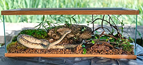 DBDPet Galapagos Jurassic Fir Bark Natural Fir Bark Bedding Substrate Brown 8qt - Includes Attached Pro-Tip Guide