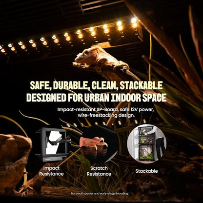 All-in-ONE Smart Reptile Tank, Reptile Enclosure，Terrarium Tank，Screen Ventilation Habitat，Amphibians，Suitable for Keeping Lizards, Geckos and Snakes (Black, Plus) - color: BLACK, size: PLUS