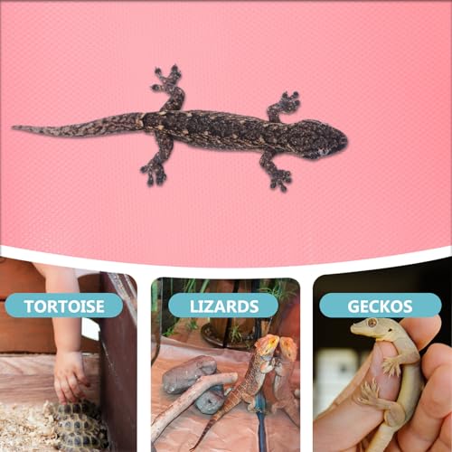 Reptile Carpet Substrate Pad for Terrarium Easy-Clean Lizard Tank Mat Suitable for Bearded Dragon Gecko Snake Tortoise Bedding Accessories