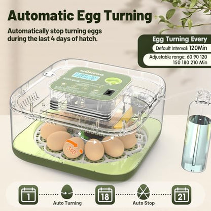 12 Egg Incubator with Automatic Egg Turning and Humidity Control, LED Egg Candling Light, Customized Incubation Days, Incubators for Hatching Eggs, Chicken Quail Parrot Pigeon Birds, Green - color: Green