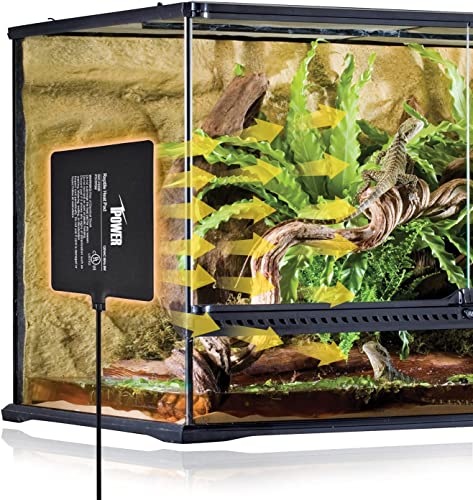 iPower Reptile Heat Pad Under Tank Terrarium Warmer Heating Mat for Turtle, Lizard, Frog, Snake, Reptile, and Other Small Animals, 6X8 Inch, 8W Black - size: 6 X 8 Inch, style: 1 Pack