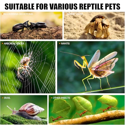 3x3x6 Acrylic Reptile Enclosure, 360 View Tank | Crystal-clear acrylic 360 view, top & side vents, front-opening door, upgraded handle, ideal for jumping spiders & mini pets - size: 3"3"6"